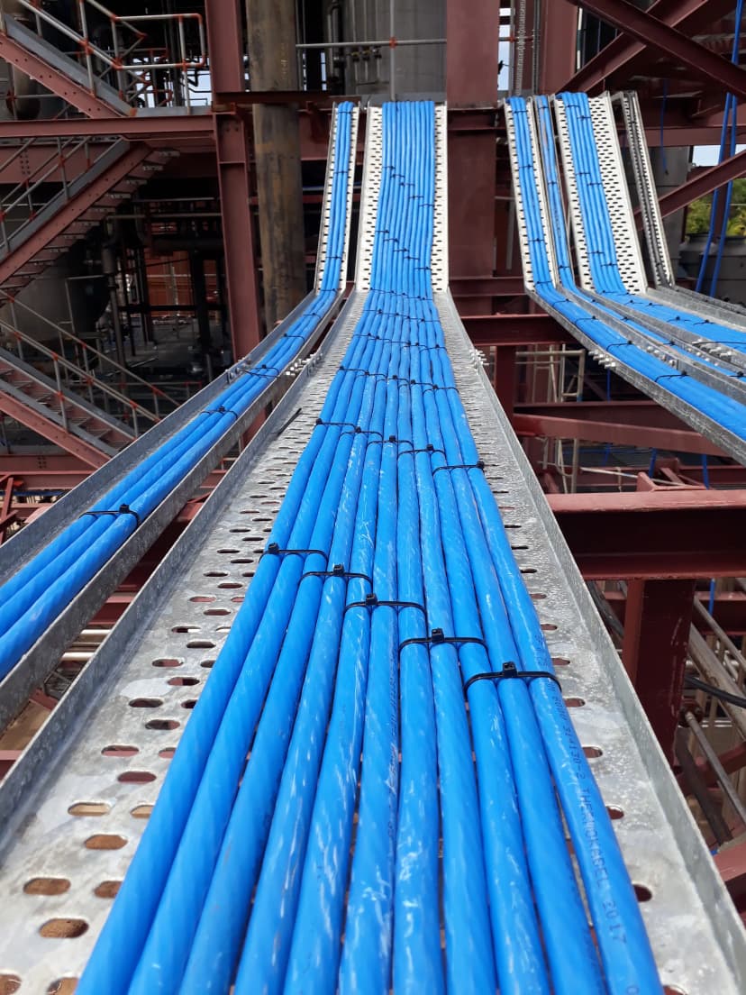 Wildlife photography in natural habitat