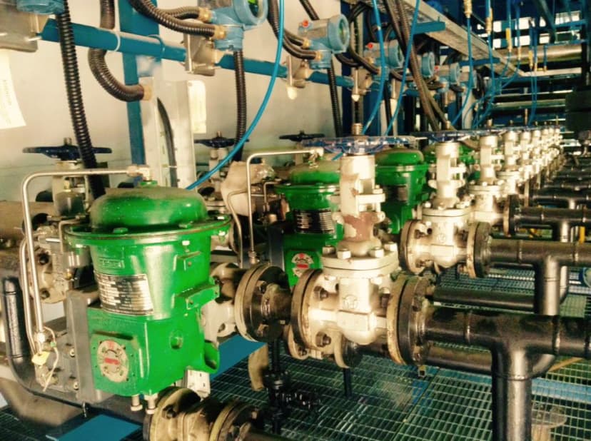 Wildlife photography in natural habitat