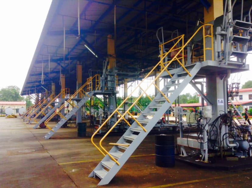 Wildlife photography in natural habitat