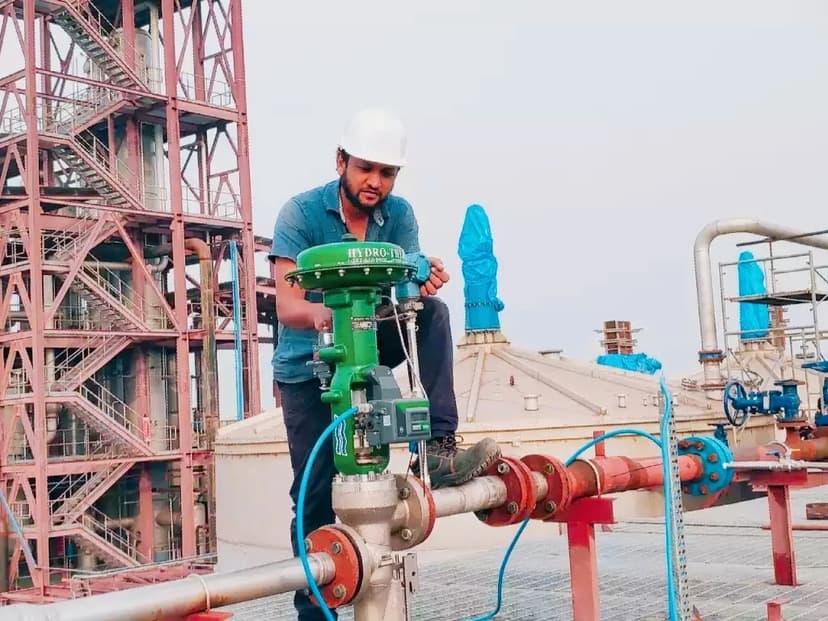 Wildlife photography in natural habitat